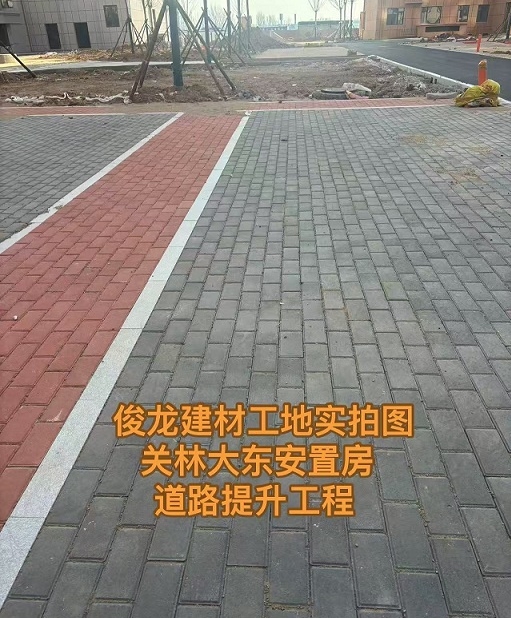 洛陽關(guān)林大東安置房道路提升工程