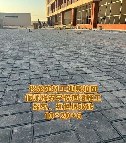 偃師豫蘇學(xué)校道路施工 深灰、紅色透水磚 10*20*6